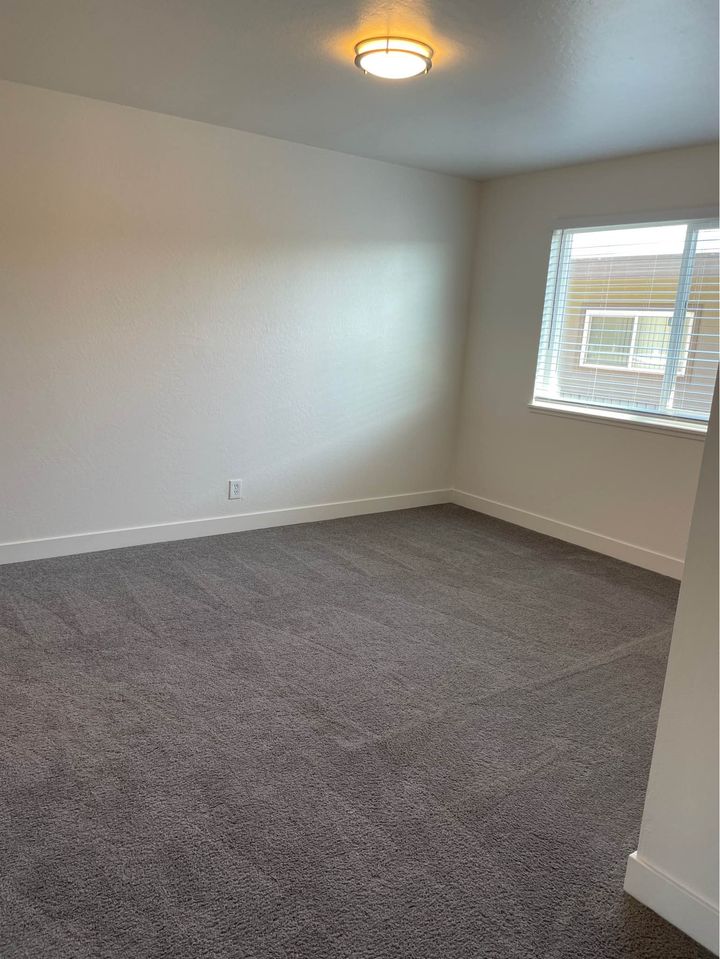 1 Bed 1 Bath - Apartment photo'