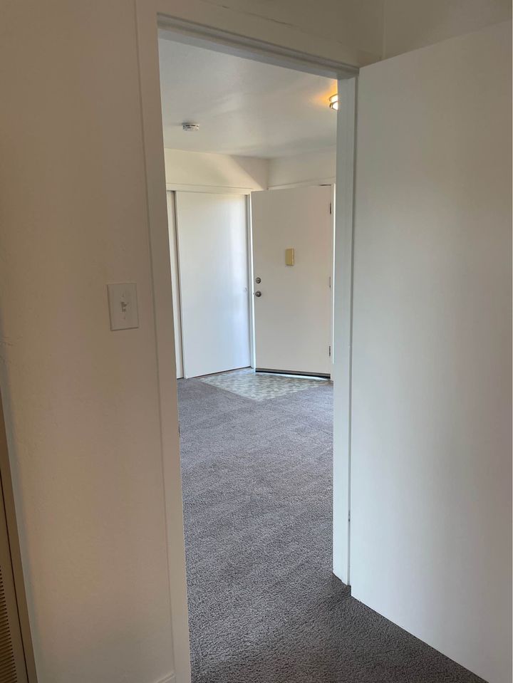 1 Bed 1 Bath - Apartment photo'