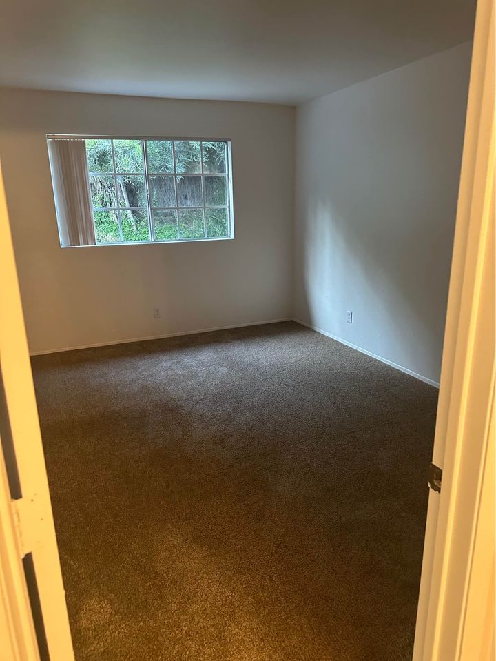 1 Bed 1 Bath - Apartment photo'