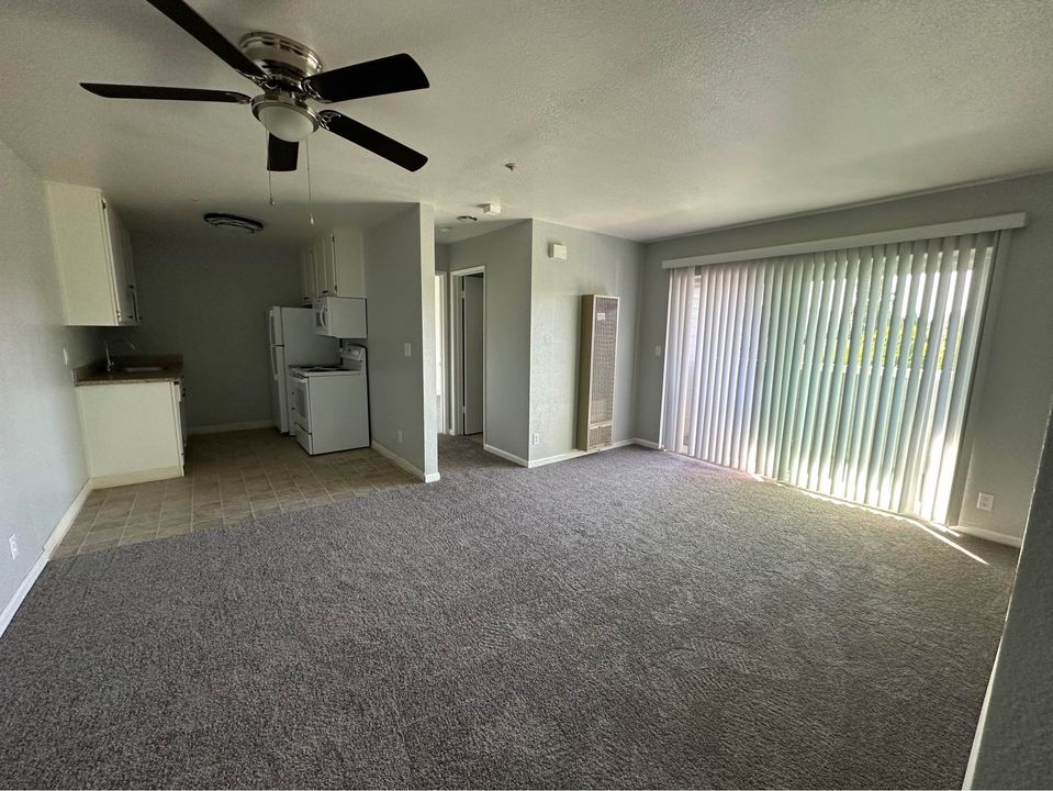 1 Bed 1 Bath - Apartment photo'