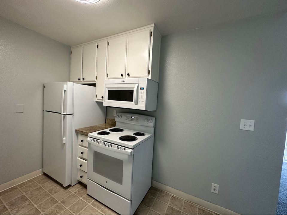 1 Bed 1 Bath - Apartment photo'