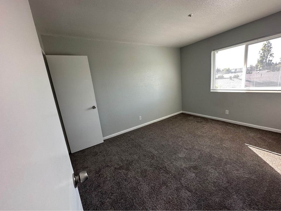 1 Bed 1 Bath - Apartment photo'