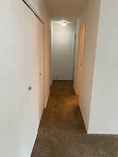 2 Beds 1 Bath - Apartment photo'