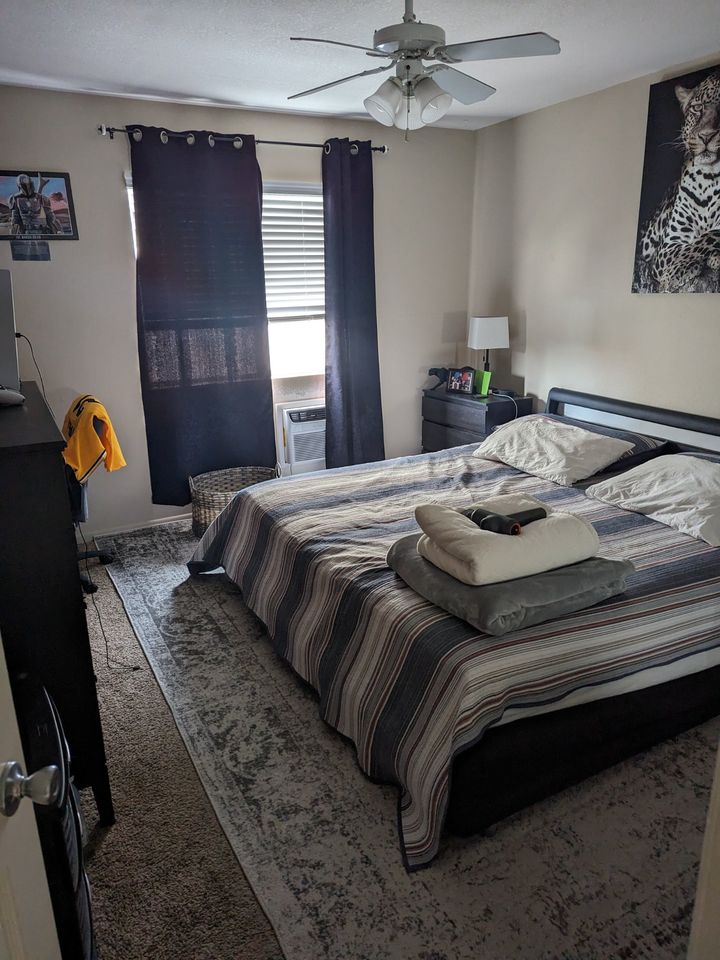 1 Bed 1 Bath Apartment photo'