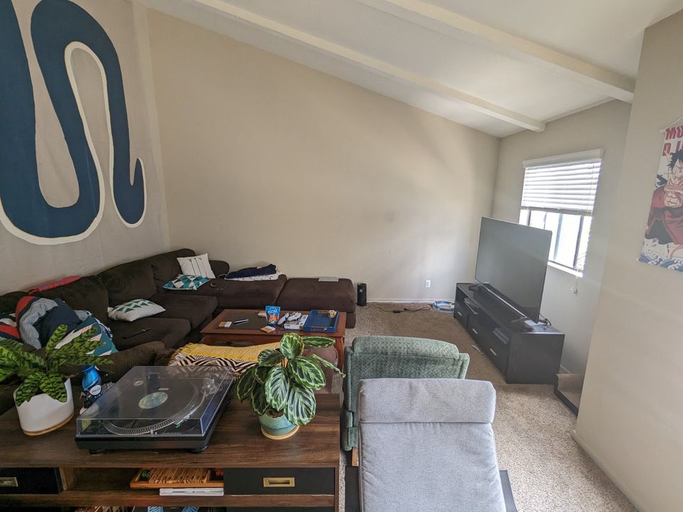 1 Bed 1 Bath Apartment photo'