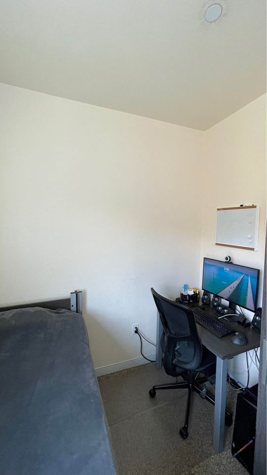 1 Bed 1 Bath Apartment photo'