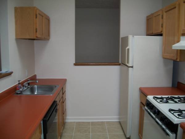 1 Bed 1 Bath Apartment photo'