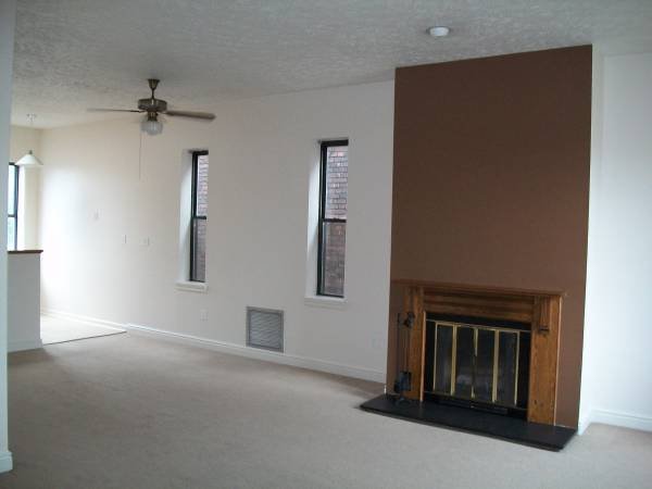 1 Bed 1 Bath Apartment photo'