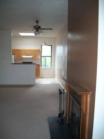 1 Bed 1 Bath Apartment photo'