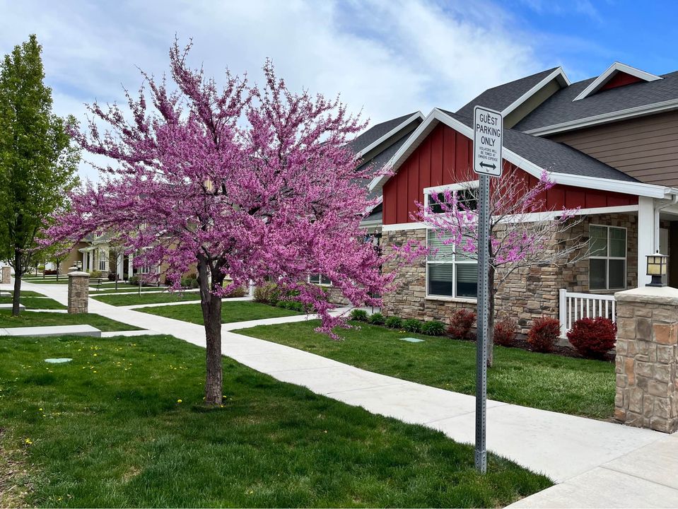 3 Beds 2.5 Baths - Townhouse photo'