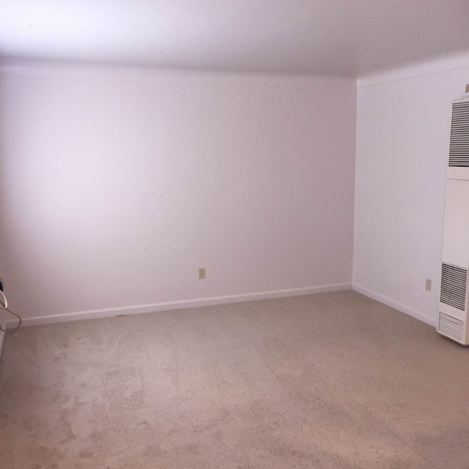 1 Bed 1 Bath - Apartment photo'