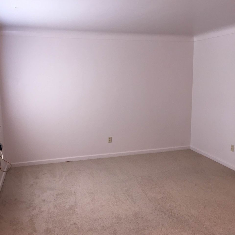 1 Bed 1 Bath - Apartment photo'