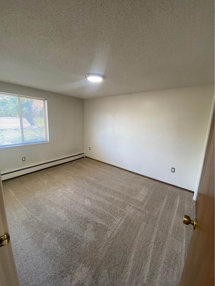 1 Bed 1 Bath - Apartment photo'