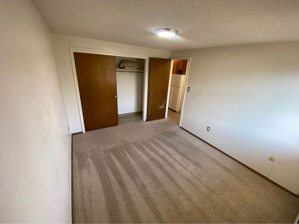 1 Bed 1 Bath - Apartment photo'