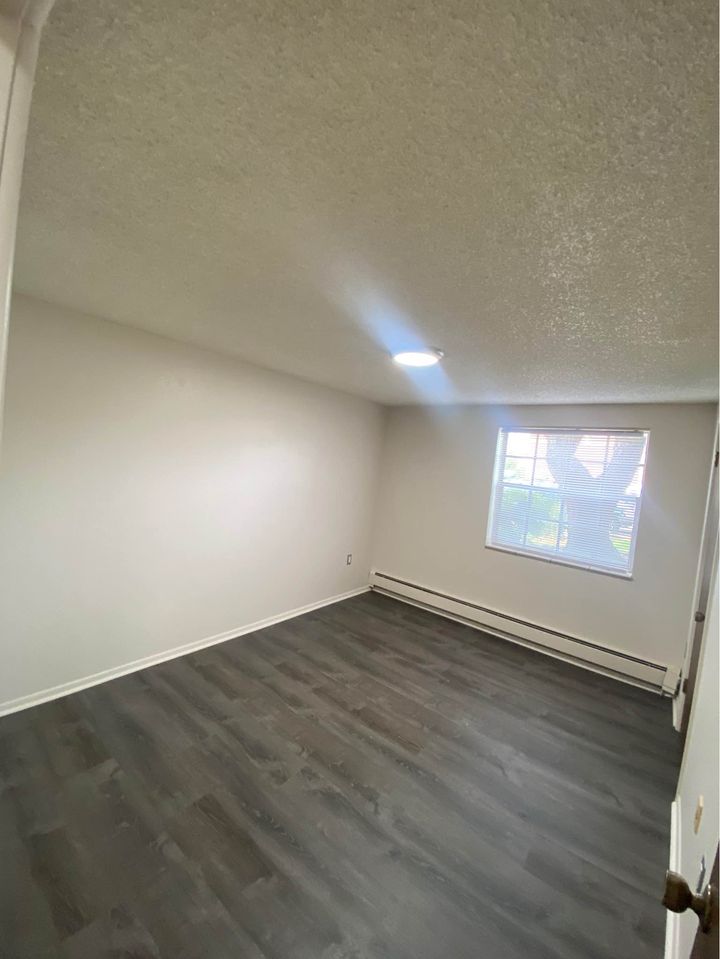 2 Beds 1 Bath - Apartment photo'