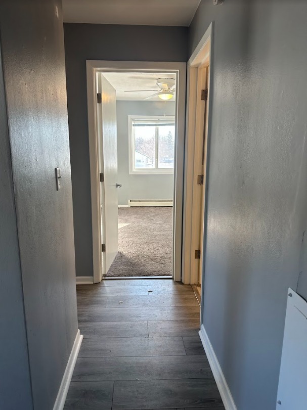 2 Beds 1 Bath Apartment photo'