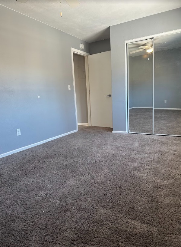 2 Beds 1 Bath Apartment photo'