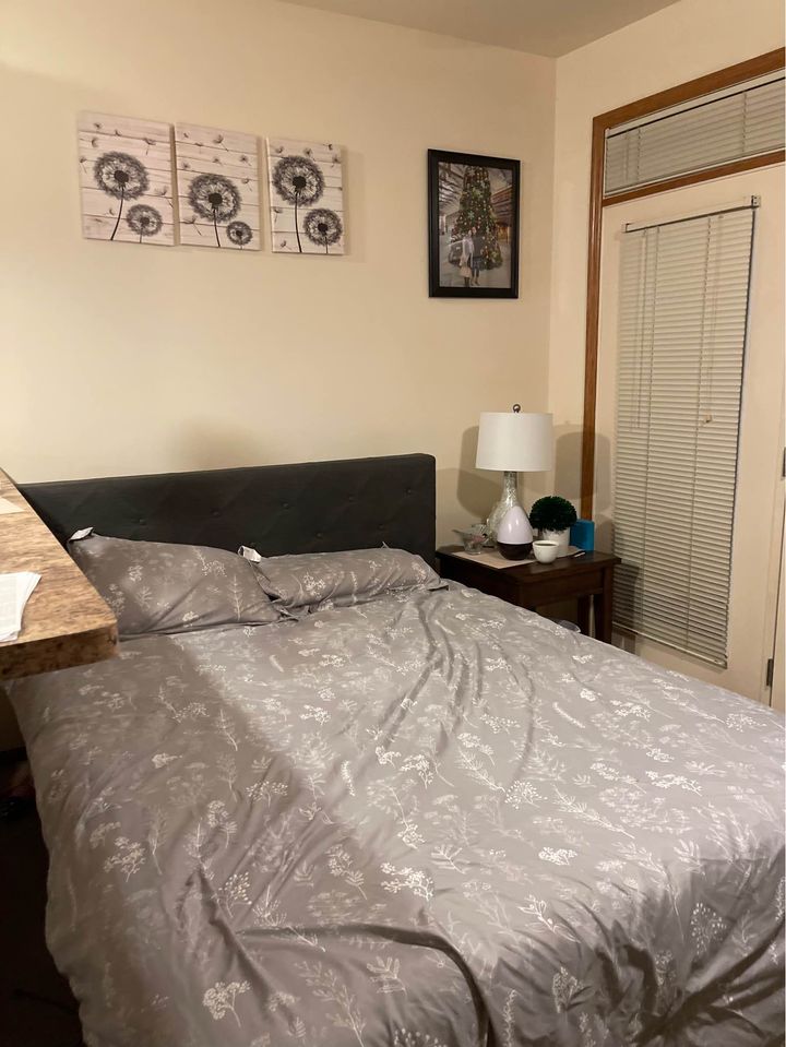 1 Bed 1 Bath - Apartment photo'