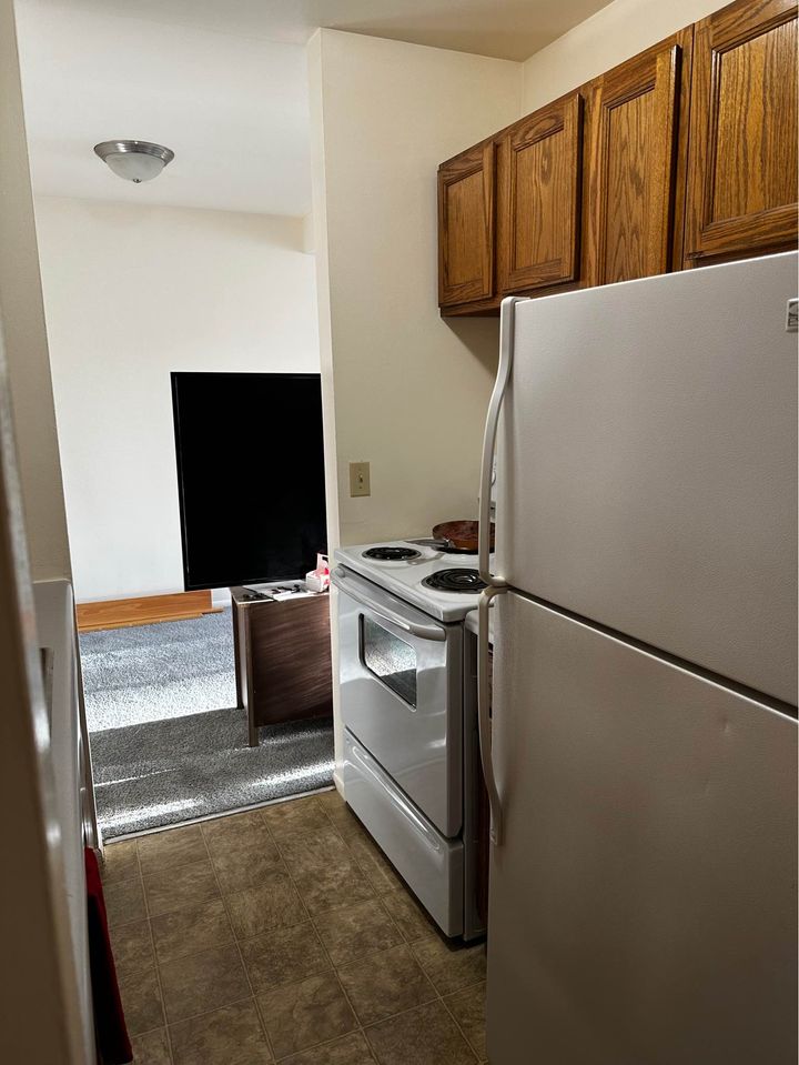 1 Bed 1 Bath - Apartment photo'