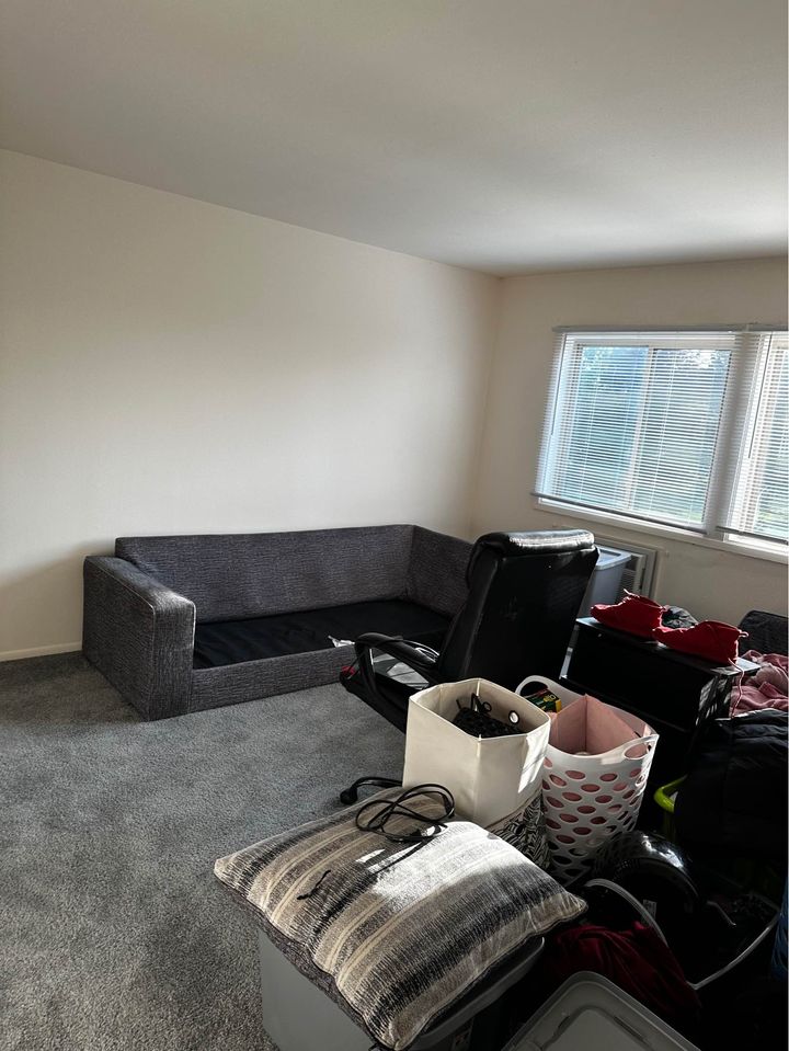 1 Bed 1 Bath - Apartment photo'