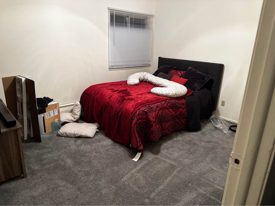 1 Bed 1 Bath - Apartment photo'