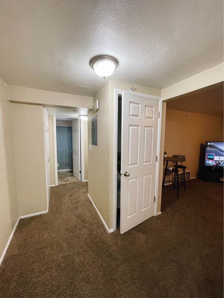 1 Bed 1 Bath - Apartment photo'