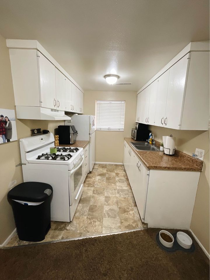 1 Bed 1 Bath - Apartment photo'