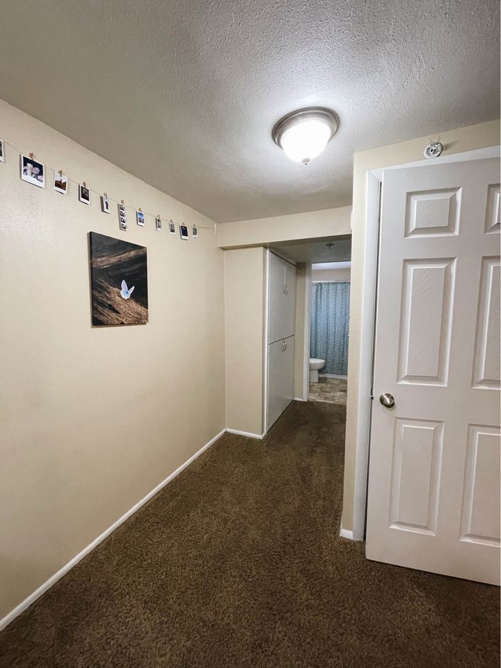 1 Bed 1 Bath - Apartment photo'