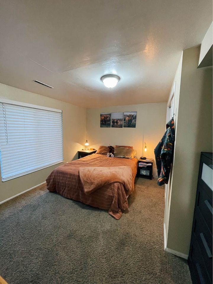 1 Bed 1 Bath - Apartment photo'