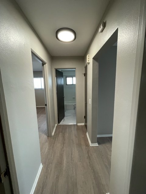 2 Beds 1 Bath Apartment photo'