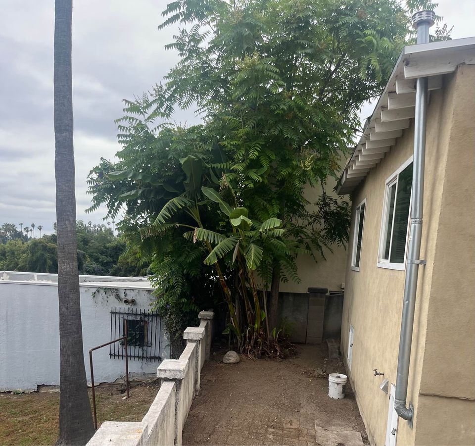 3 Beds 1 Bath - House photo'