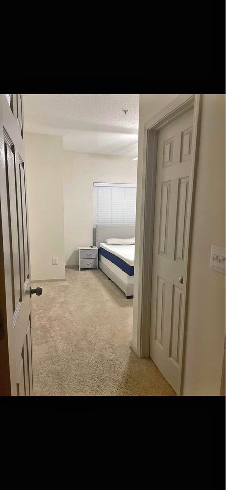 1 Bed 1 Bath - Apartment