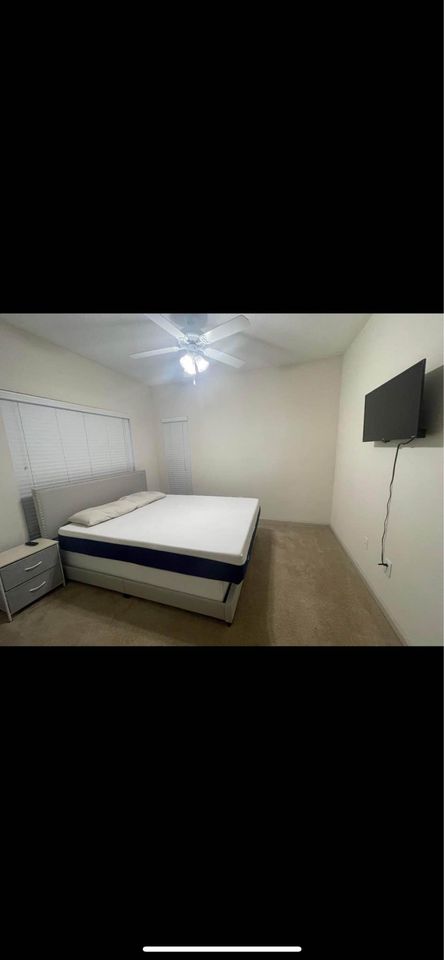 1 Bed 1 Bath - Apartment photo'