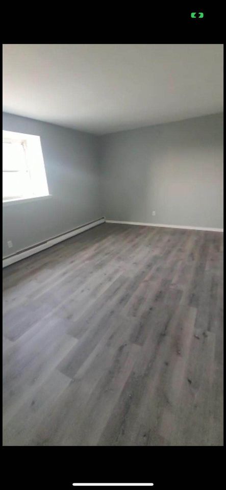 1 Bed 1 Bath - Apartment photo'