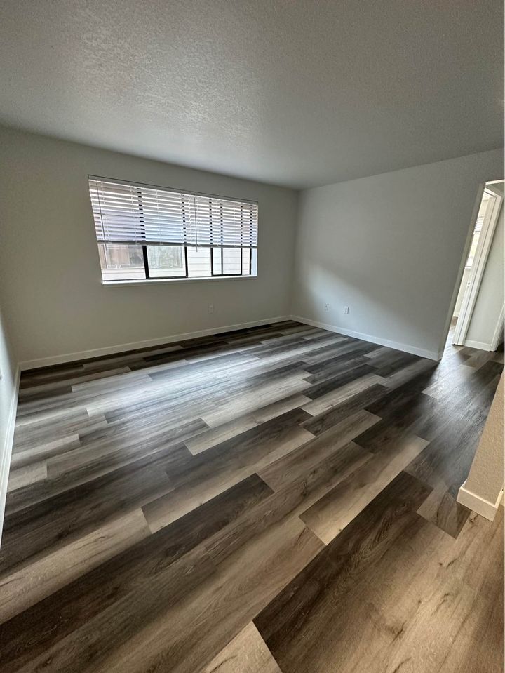 1 Bed 1 Bath - Apartment photo'