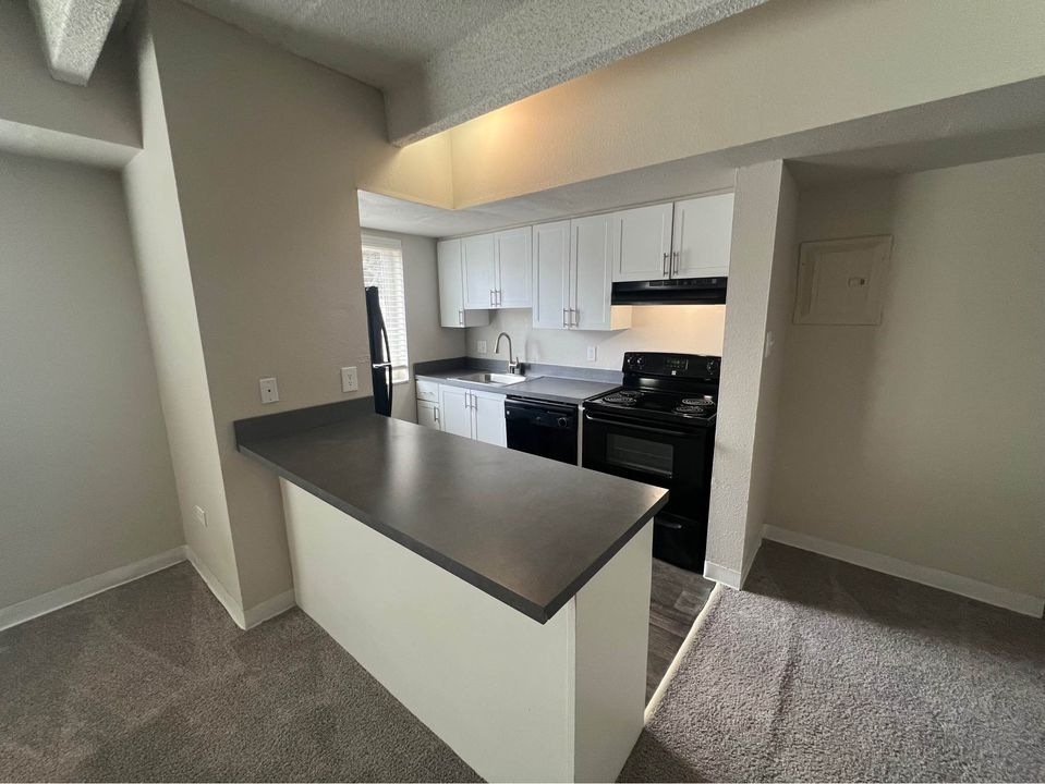 1 Bed 1 Bath - Apartment photo'