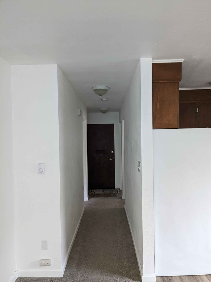 2 Beds 1 Bath - Apartment photo'