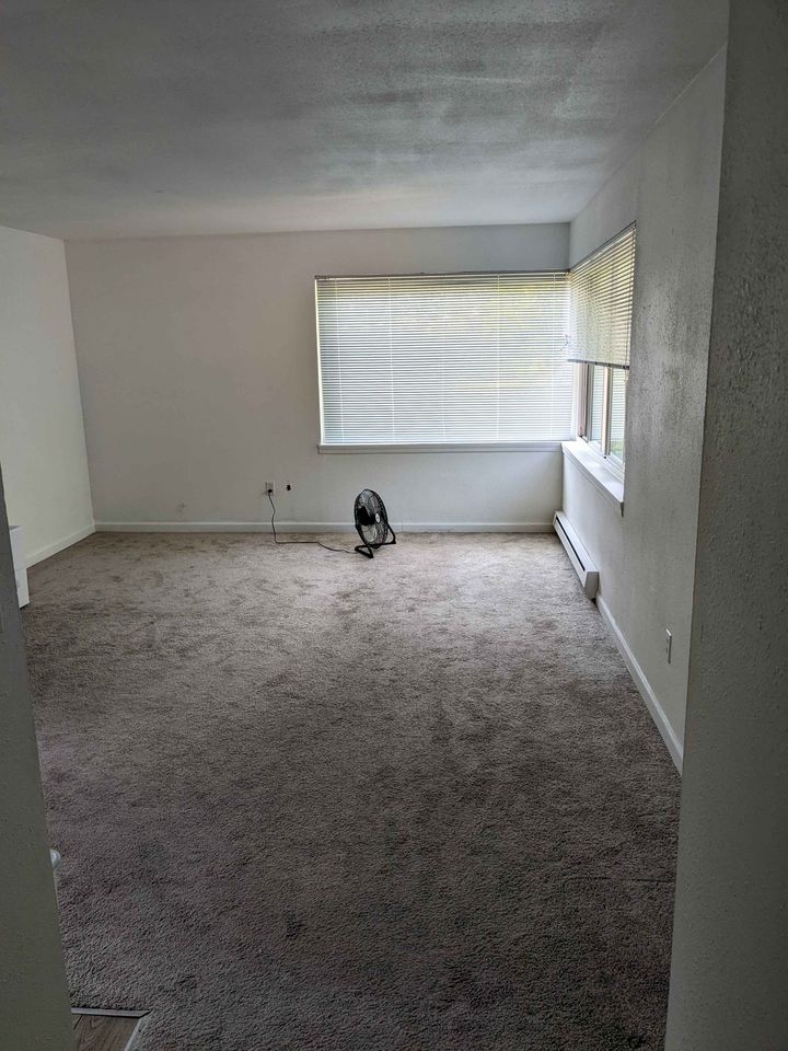 2 Beds 1 Bath - Apartment photo'